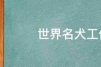狗狗的智商排名前十名？ 名犬智商排行榜