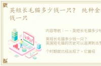 英短长毛猫多少钱一只？ 纯种金渐层多少钱一只