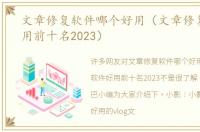 文章修复软件哪个好用（文章修复软件好用前十名2023）