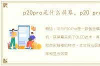 p20pro是什么屏幕，p20 pro