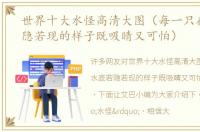 世界十大水怪高清大图（每一只在水底若隐若现的样子既吸睛又可怕）