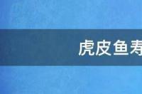虎皮鱼能活多长时间？ 虎皮鱼寿命