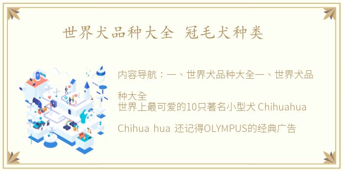 世界犬品种大全 冠毛犬种类