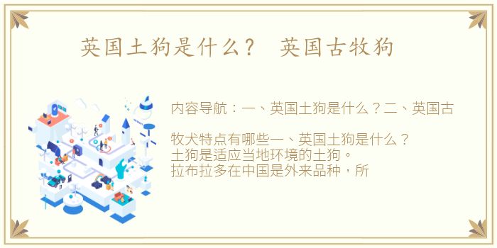 英国土狗是什么？ 英国古牧狗