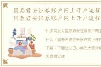 国泰君安证券账户网上开户流程是什么，国泰君安证券账户网上开户流程