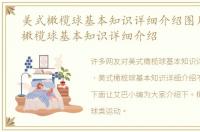 美式橄榄球基本知识详细介绍图片，美式橄榄球基本知识详细介绍