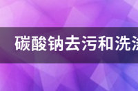 过氧碳酸钠去茶垢原理？ 过氧碳酸钠去污原理