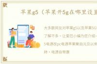 苹果g5（苹果开5g在哪里设置）