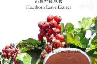 山楂的功效与作用（山楂的功效与作用禁忌） 山楂提取物