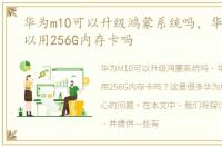 华为m10可以升级鸿蒙系统吗，华为M10可以用256G内存卡吗
