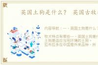 英国土狗是什么？ 英国古牧狗