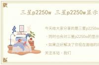 三星p2250w 三星p2250w显示器