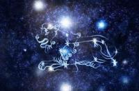 狮子座跟什么星座最配？ 星座屋狮子座