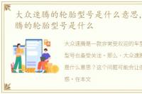 大众速腾的轮胎型号是什么意思，大众速腾的轮胎型号是什么