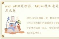 amd e450处理器，AMD双核加速处理器E450怎么样