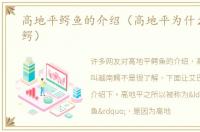 高地平鳄鱼的介绍（高地平为什么叫越南鳄）