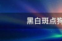 像斑点狗的是什么狗？ 斑点狗是什么狗