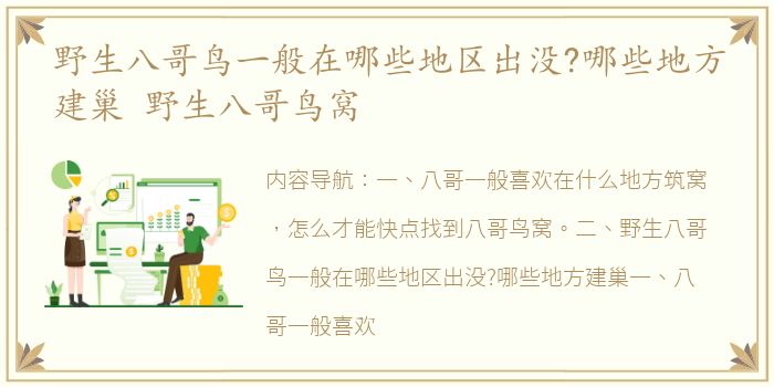 野生八哥鸟一般在哪些地区出没?哪些地方建巢 野生八哥鸟窝