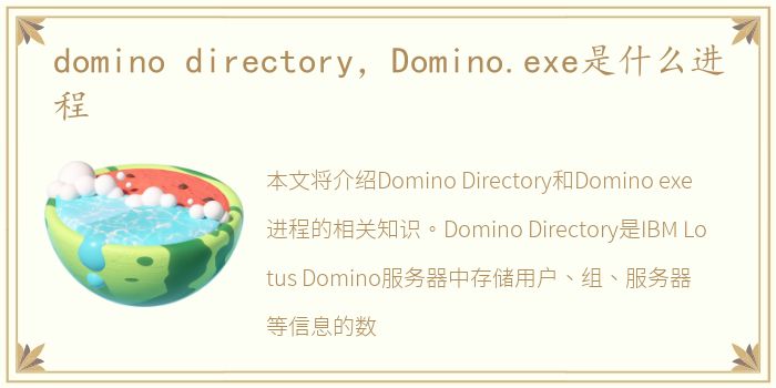 domino directory，Domino.exe是什么进程