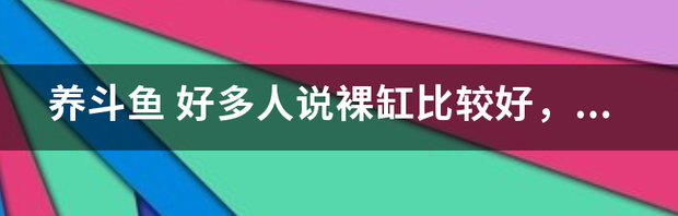 t01ef99e9561b77a48a.png