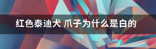 t01d6a0d3092444d2e2.png