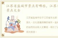 江苏省盐城市景点有哪些，江苏省盐城市景点大全