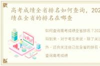 高考成绩全省排名如何查询，2023高考成绩在全省的排名在哪查