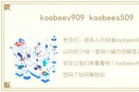 koobeev909 koobees509