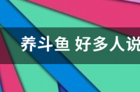 养斗鱼为什么要裸缸？ 养斗鱼为什么要裸缸
