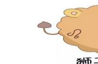 星座都是几月到几月？ 狮子座是几月到几月几日日天蝎座