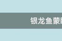 罗汉鱼蒙眼病怎么治？ 鱼蒙眼病怎么治