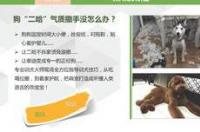 上海野生动物园能带宠物吗？ 上海宠物展2021