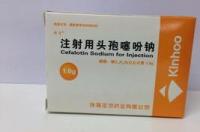 噻吩头孢霉素简介 头孢噻吩