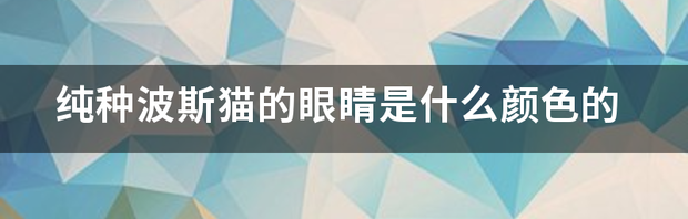 t01da2f25c4d58d0927.png