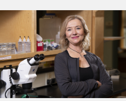 成功的分子生物学家领导MDI生物实验室的新团队
