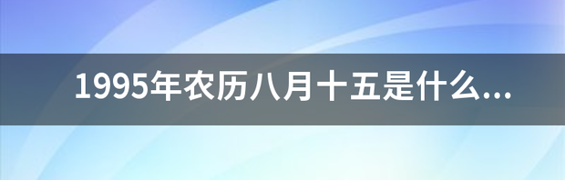 t01e6535bf8161cdd06.png