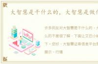 大智慧是干什么的，大智慧是做什么的