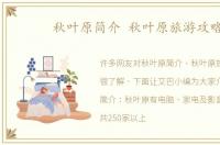 秋叶原简介 秋叶原旅游攻略