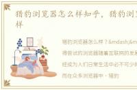 猎豹浏览器怎么样知乎，猎豹浏览器怎么样