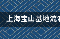 上海禁止养流浪猫吗？ 上海流浪狗救助站