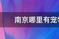 南京哪里有宠物美容培训班呀 南京宠物美容师宠物美容培训学校