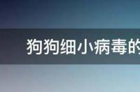 狗狗，细小病毒，感觉越来越严重，现在已经开始吐血了，大便感觉躺着自己会流出来水，还有救吗？ 细小病毒的便便