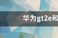 华为gt2e和gt2都能接打电话吗？ 华为gt2e为什么便宜