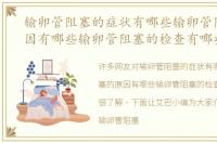 输卵管阻塞的症状有哪些输卵管阻塞的原因有哪些输卵管阻塞的检查有哪些