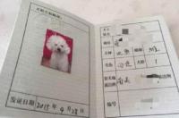 办狗证对狗狗的照片有什么要求 狗真实照片