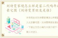 刘诗雯家境怎么样是富二代吗年收入北京豪宅图（刘诗雯男朋友是谁）