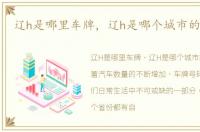 辽h是哪里车牌，辽h是哪个城市的车牌照