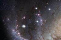 农历8月27日是什么星座女？ 8月27日出生的是什么星座