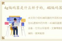 4g编码器是什么样子的，4G编码器是什么