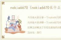 nokia6670（nokia6670长什么样）